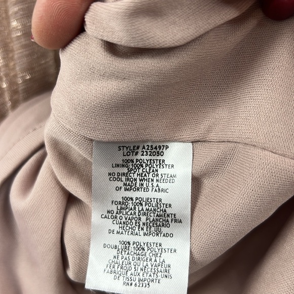 BETSY & ADAM NWT CELINE BOAT NECK CHAMPAGNE CRINKLE GOWN SZ 10 P - Picture 11 of 11